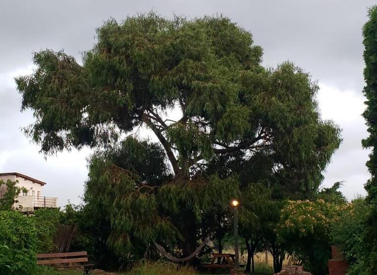 Standard Szoba Megosztott Fürdővel, Casa Bordó, B & B