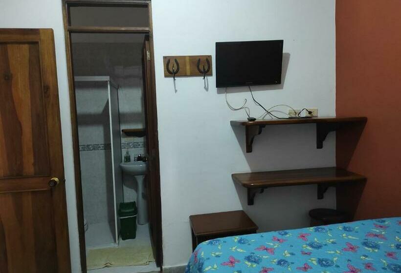 اتاق استاندارد, Barajas