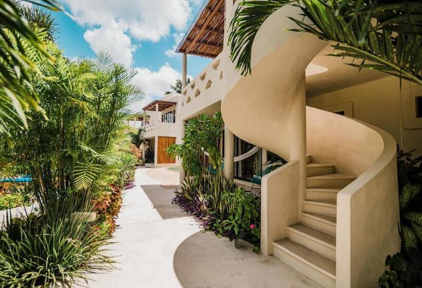 Sviitti King-vuode, Blue Palm Bacalar