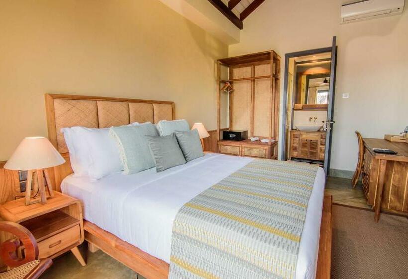 غرفة ديلوكس, The Merchant