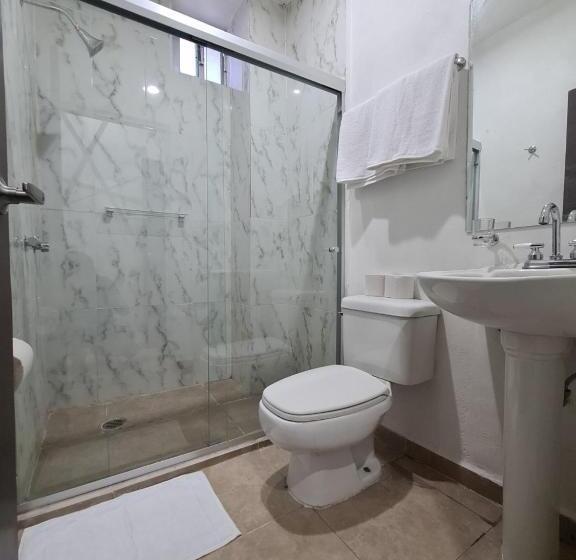 스탠다드 룸, Town Express