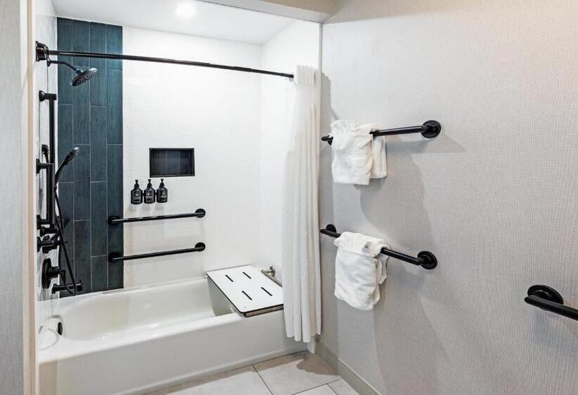 غرفة قياسية لذوى الاحتياجات الخاصة, Indigo Spring   Woodlands Area, An Ihg