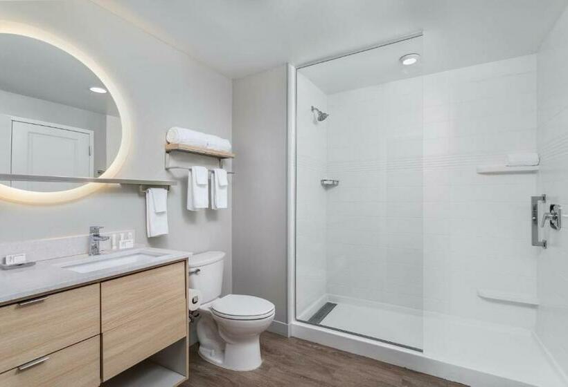 استودیو استاندارد با تخت کینگ, Towneplace Suites By Marriott Orlando Southwest Near Universal