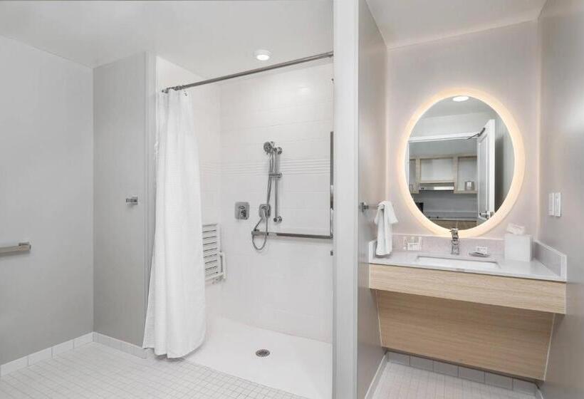 استودیوی استاندارد, Towneplace Suites By Marriott Orlando Southwest Near Universal