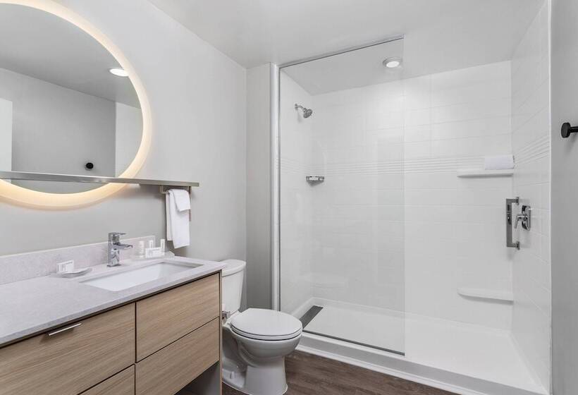 سوئیت برای معلولان, Towneplace Suites By Marriott Orlando Southwest Near Universal