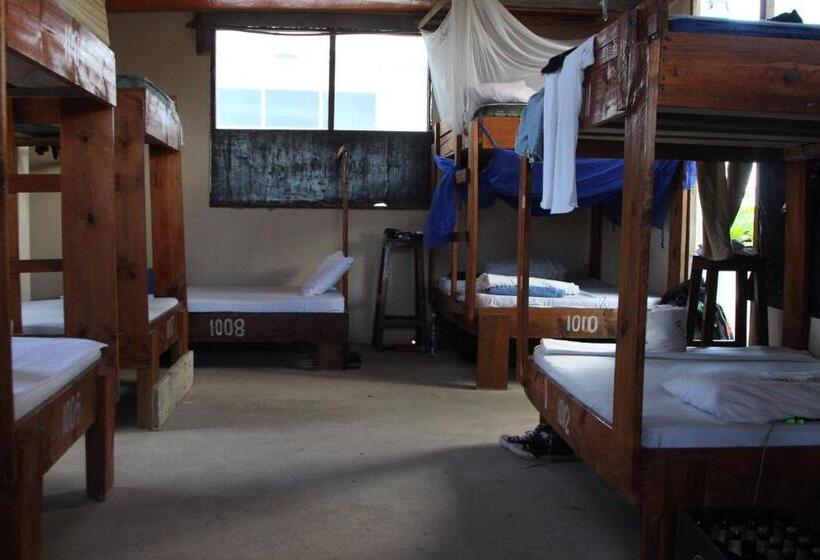 共用房间的床, Homeland Swahili Lodge Nungwi Backpacker Apartments Budget