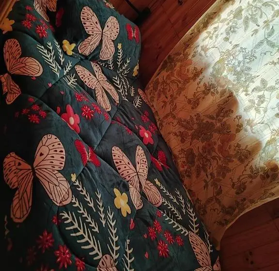 ファミリーステューディオ, Hostal Gomero