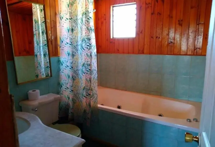 ファミリーステューディオ, Hostal Gomero