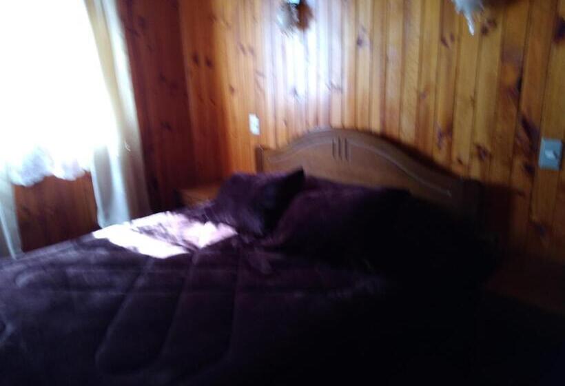 إستديو عائلى, Hostal Gomero