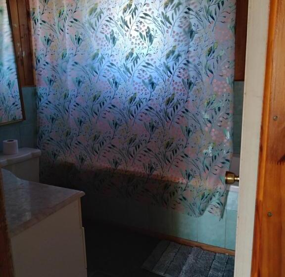 إستديو عائلى, Hostal Gomero