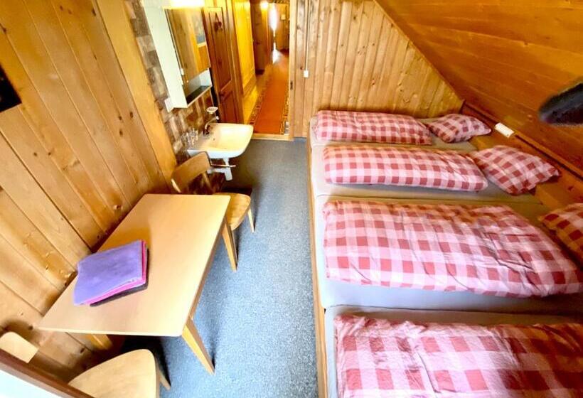 Номер Стандарт Четырехместный Совместный Санузел, Berggasthaus Rigi Burggeist