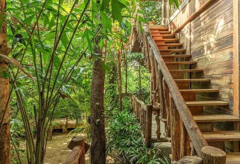 بانگلوی ممتاز, Ocean Bay Resort & Spa Phu Quoc