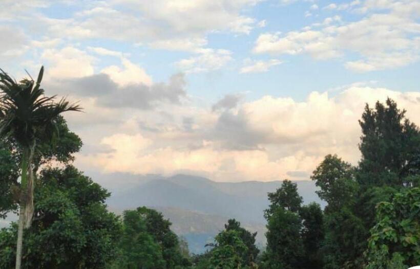 سوییت لوکس, Sai´s Grace