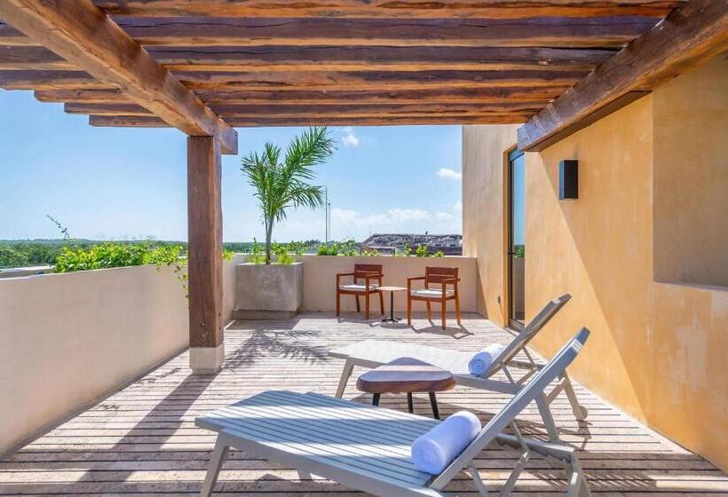 اتاق استاندارد با تخت بزرگ, Aloft Tulum