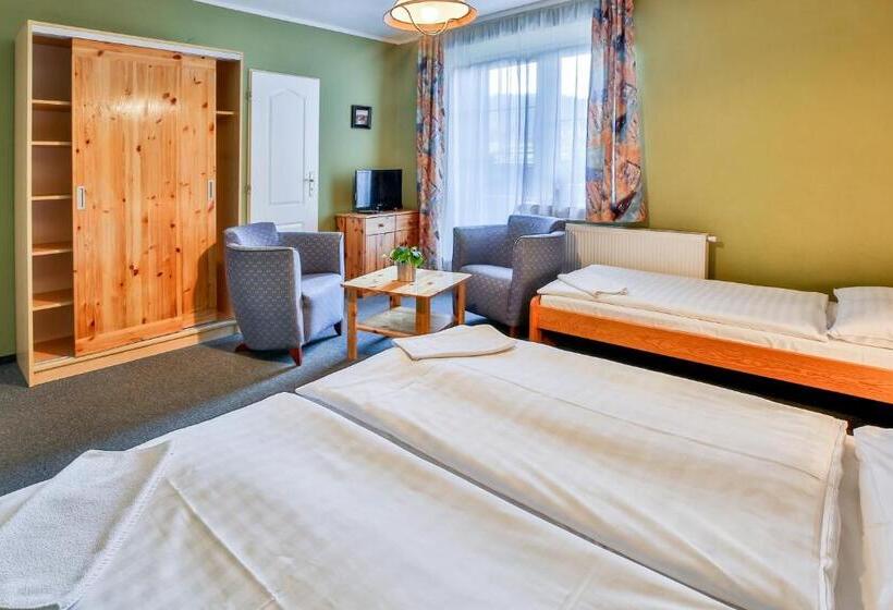 Номер Стандарт Трехместный, Penzion Bara