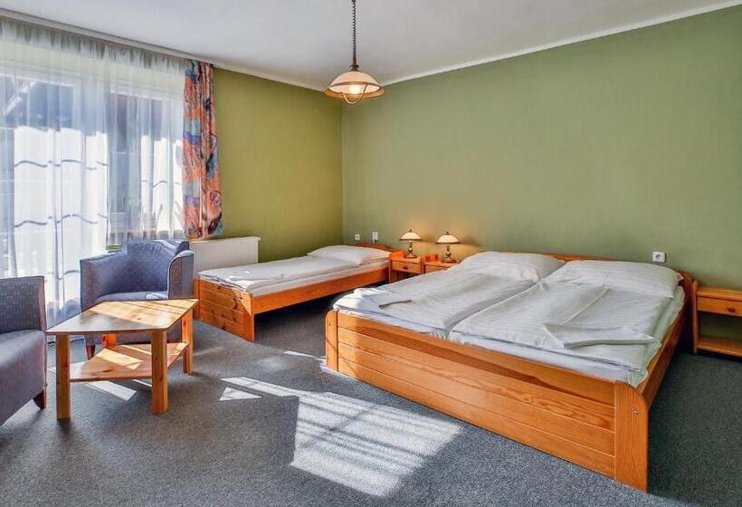 Номер Стандарт Трехместный, Penzion Bara