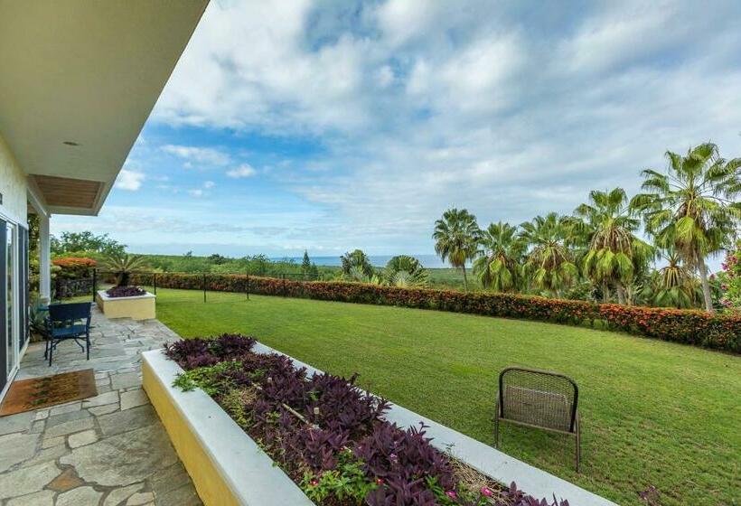 غرفة قياسية سرير كينج, Luana Inn