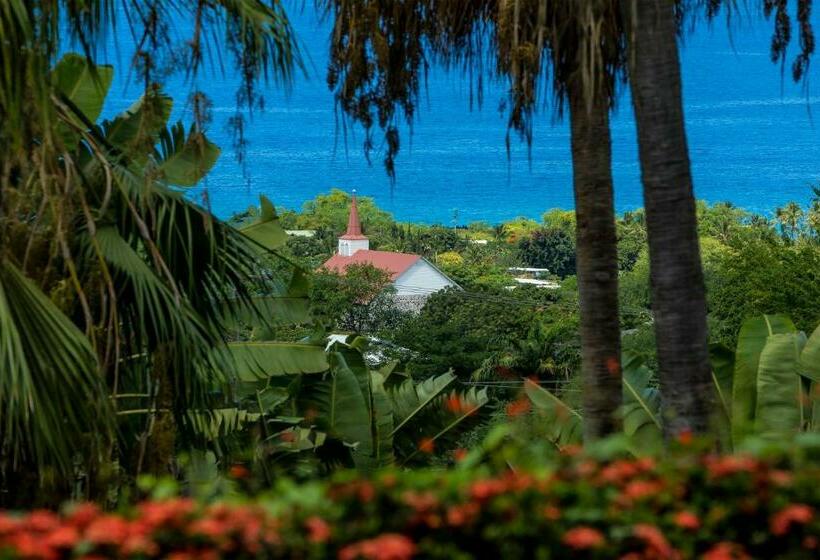 غرفة قياسية سرير كينج, Luana Inn