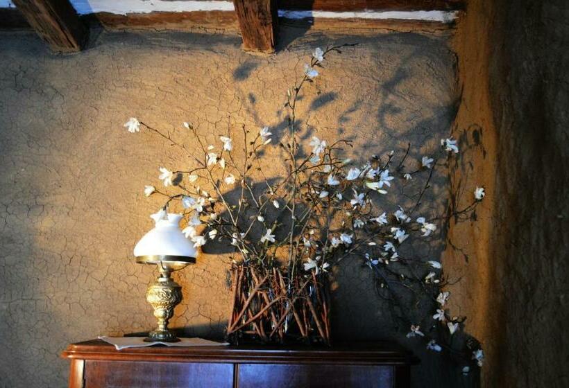 デラックスルーム, Faluhely Major