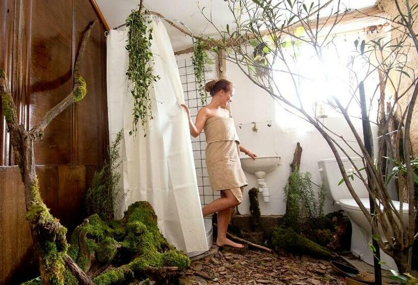 デラックスルーム, Faluhely Major