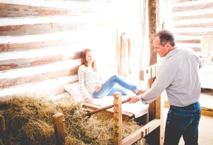 スタンダードルーム, Faluhely Major