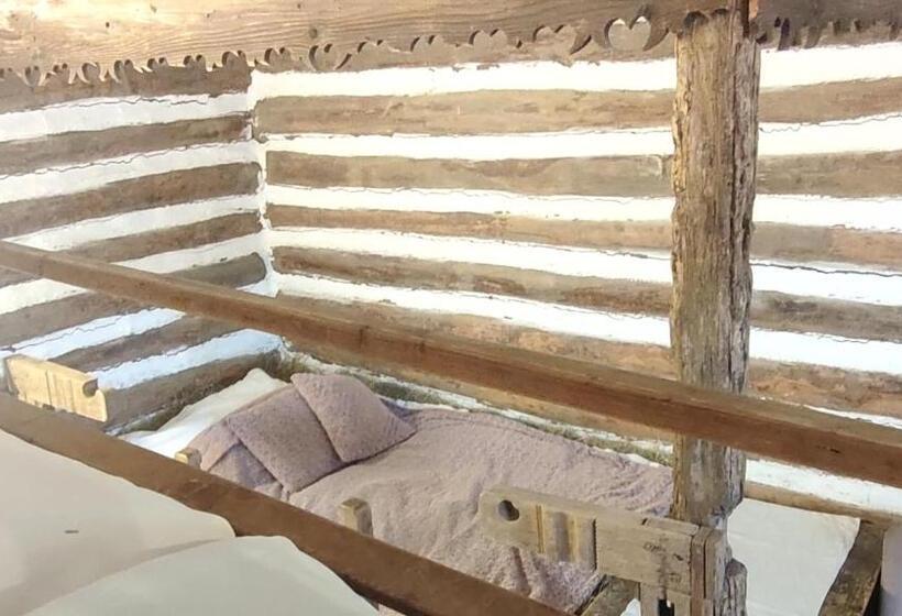 スタンダードルーム, Faluhely Major