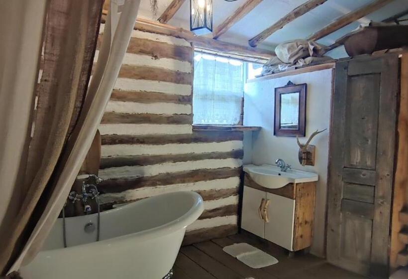 スタンダードルーム, Faluhely Major