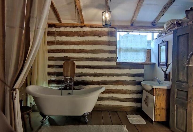 スタンダードルーム, Faluhely Major