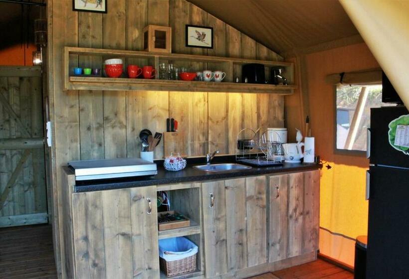 Standard Tent, Retour Au Source