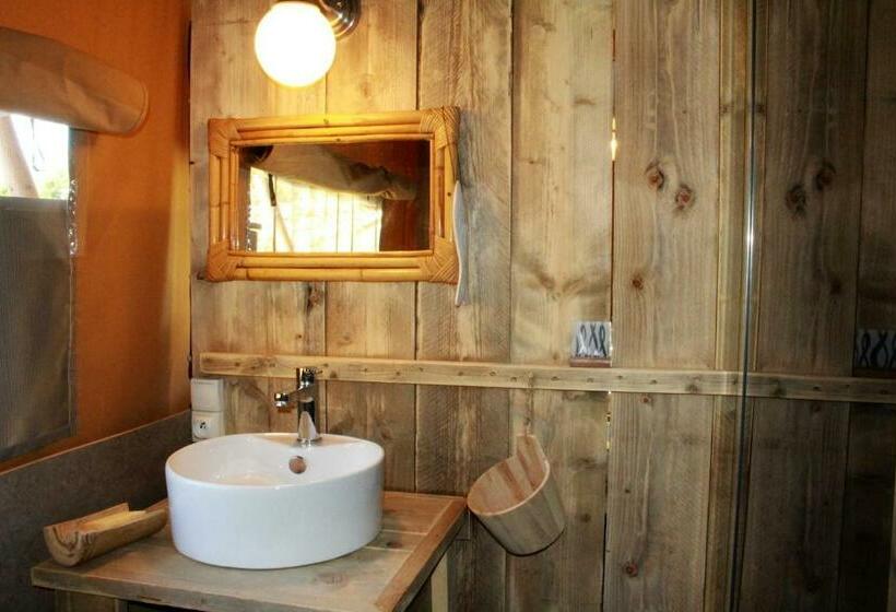 Standard Tent, Retour Au Source