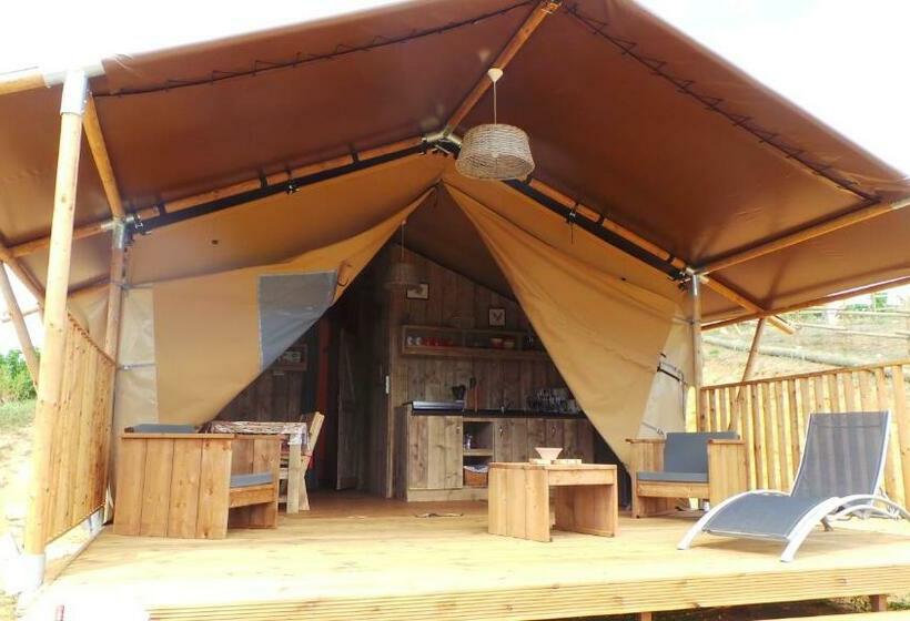 Standard Tent, Retour Au Source