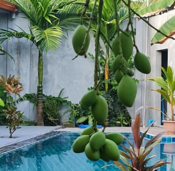 اتاق لوکس, Tiger Shark Residence & Dive