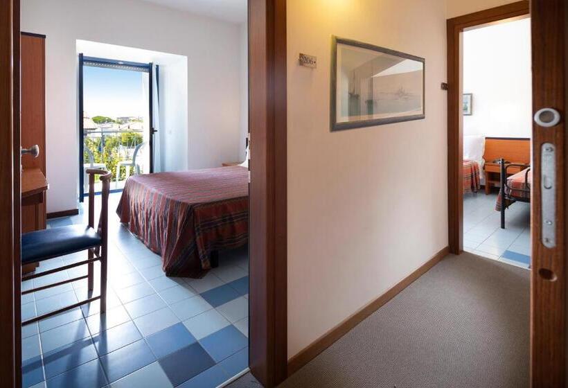 高级连接房间, Paris Resort