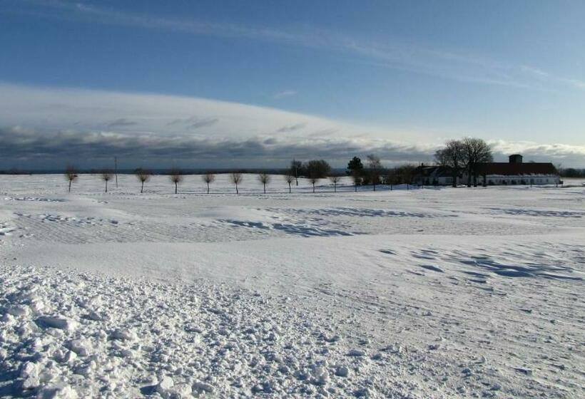 스탠다드 룸 바다 전망, Skönadal B&b