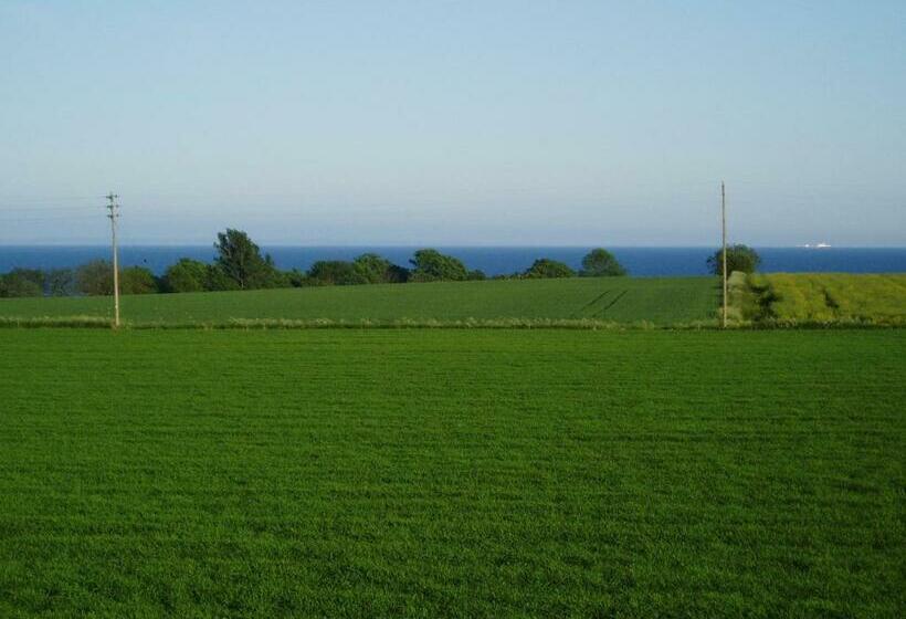 스탠다드 룸 바다 전망, Skönadal B&b