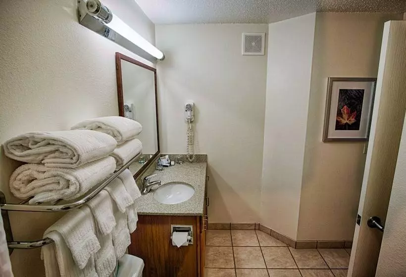 スイート, Candlewood Suites Fargo North Dakota State University, An Ihg