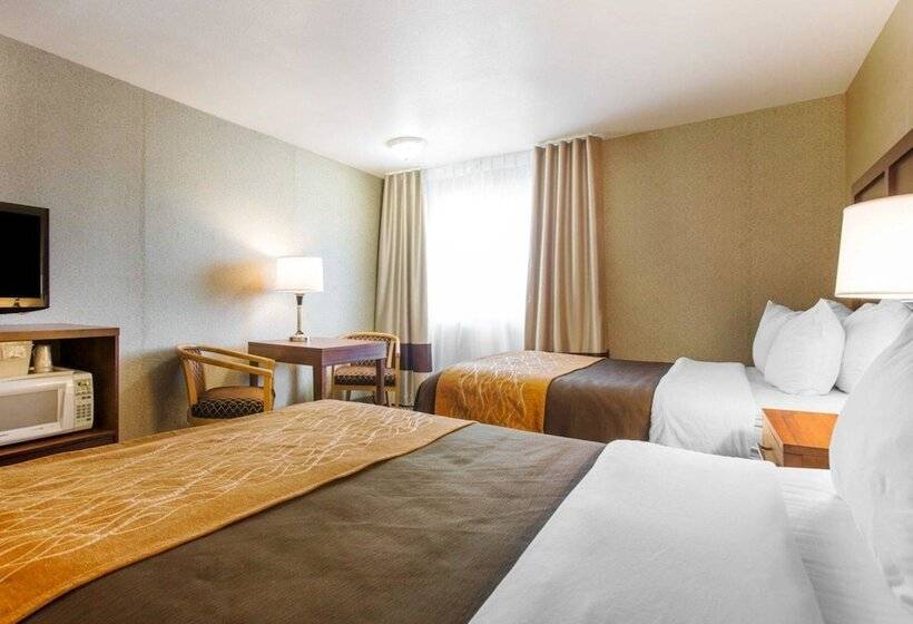 스탠다드 룸 더블 침대 2개, Comfort Inn & Suites Moreno Valley Near March Air Reserve Base