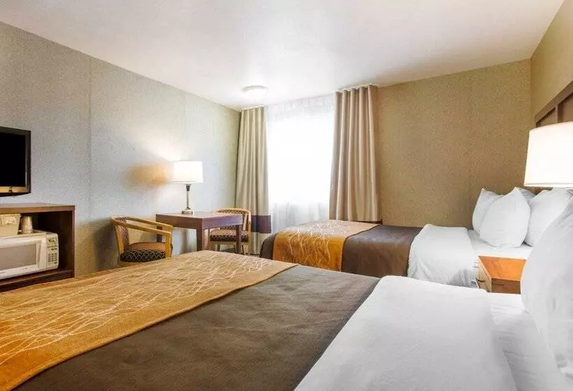 اتاق استاندارد با 2 تخت دوبل, Comfort Inn & Suites Moreno Valley Near March Air Reserve Base