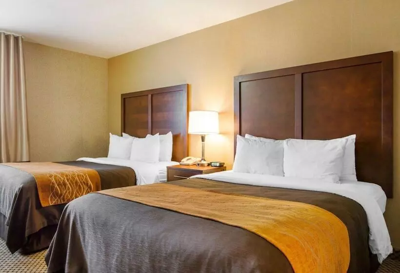 اتاق استاندارد با 2 تخت دوبل, Comfort Inn & Suites Moreno Valley Near March Air Reserve Base