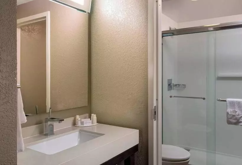 اتاق استاندارد, Courtyard Miami Beach South Beach
