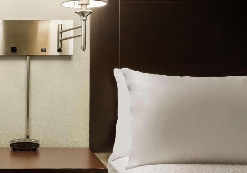 스탠다드 룸 킹사이즈 침대, Hampton Inn & Suites Phoenix Glendale Westgate