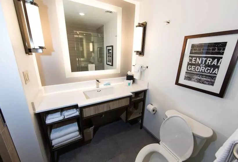 ダブルベッドスタンダードルーム, Hilton Garden Inn Savannah Historic District