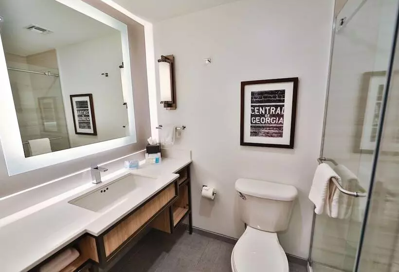 ２ダブルベッドのスタンダードルーム, Hilton Garden Inn Savannah Historic District