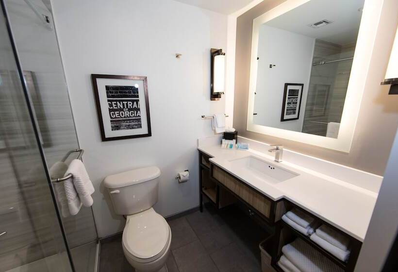סוויטה עם מרפסת, Hilton Garden Inn Savannah Historic District