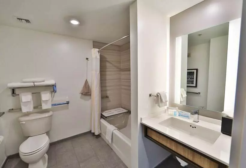 身障者適用スタンダードルーム, Hilton Garden Inn Savannah Historic District