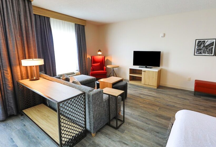 스탠다드 룸 더블 침대, Hilton Garden Inn Savannah Historic District