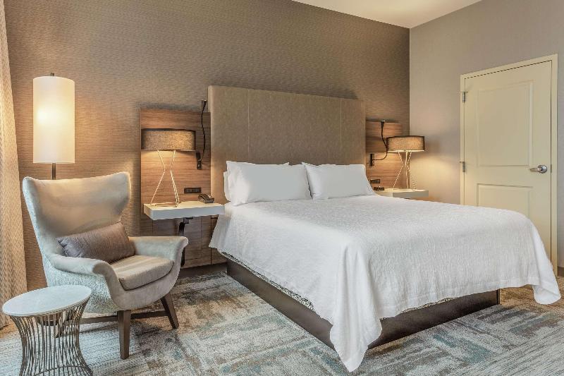 キングサイズベッドのスイートルーム, Hilton Garden Inn Indianapolis Downtown