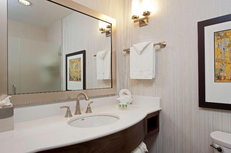 デラックススイート, Hilton Garden Inn Indianapolis Downtown