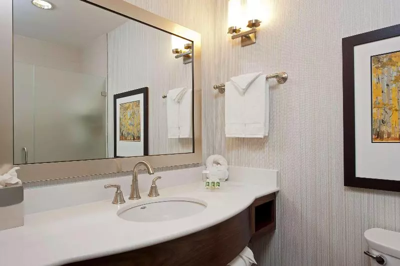 سوییت لوکس, Hilton Garden Inn Indianapolis Downtown