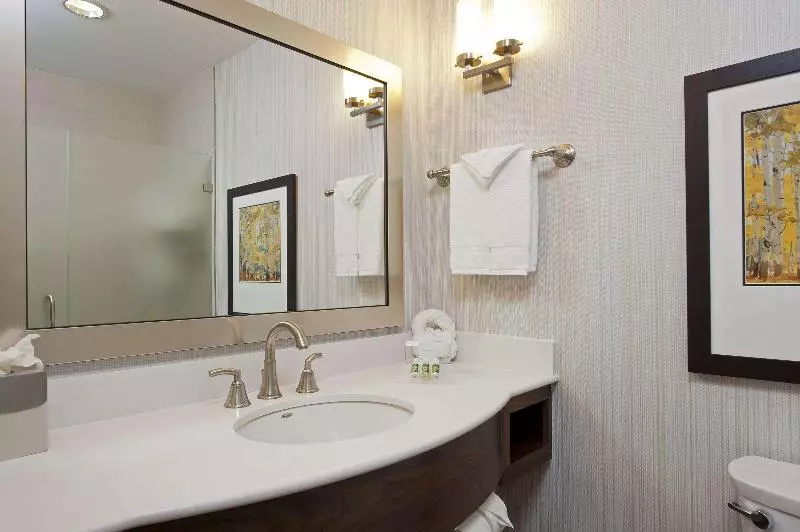 سوییت لوکس, Hilton Garden Inn Indianapolis Downtown